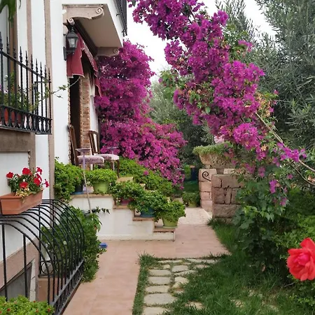 Penzion Cunda Nesos Ayvalı