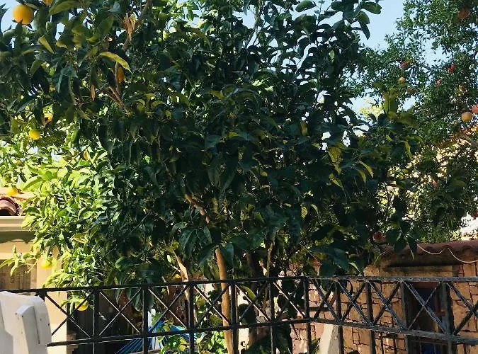 Cunda Nesos בית הארחה