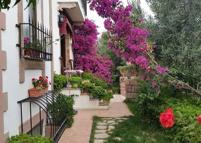 Vendégház Cunda Nesos Ayvalı