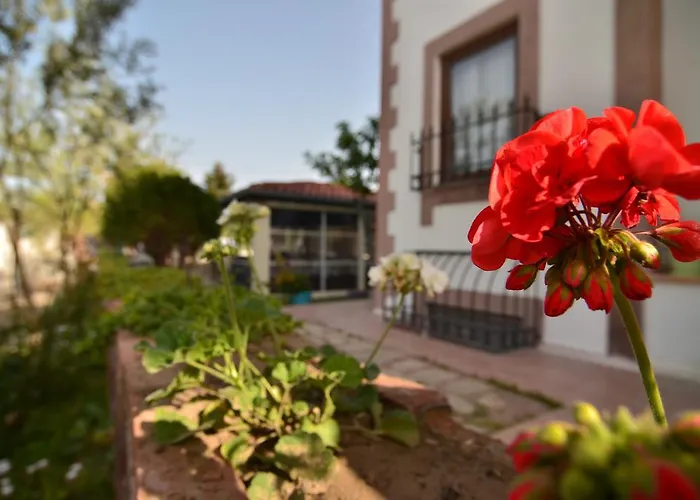 Gæstehus Cunda Nesos 4*